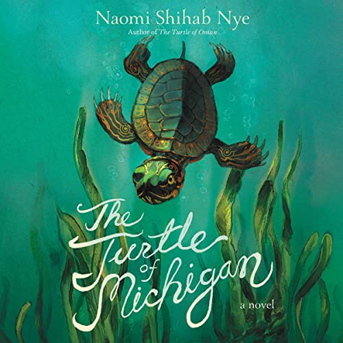 The Turtle of Michigan cover art