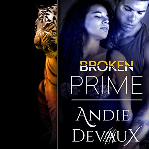 Couverture de Broken Prime