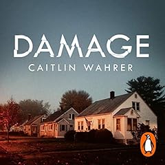 Damage cover art