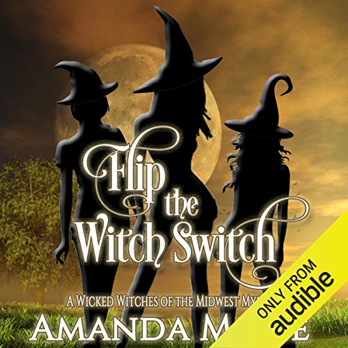 Flip the Witch Switch Audiobook By Amanda M. Lee cover art