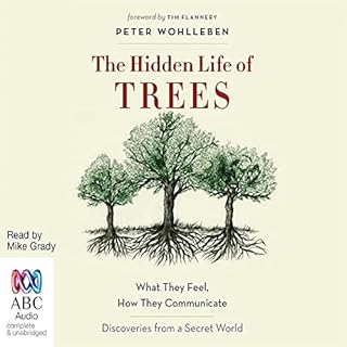 The Hidden Life of Trees cover art