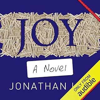 Joy Audiobook By Jonathan Lee cover art