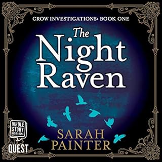 The Night Raven Audiobook By Sarah Painter cover art