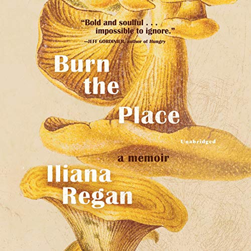 Burn the Place Audiolibro Por Iliana Regan arte de portada