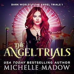 Couverture de The Angel Trials