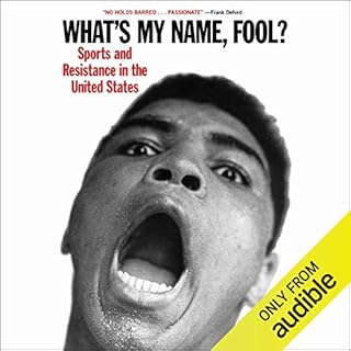 What's My Name, Fool? Audiobook By Dave Zirin cover art