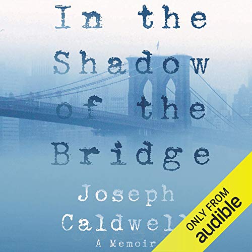 In the Shadow of the Bridge Titelbild