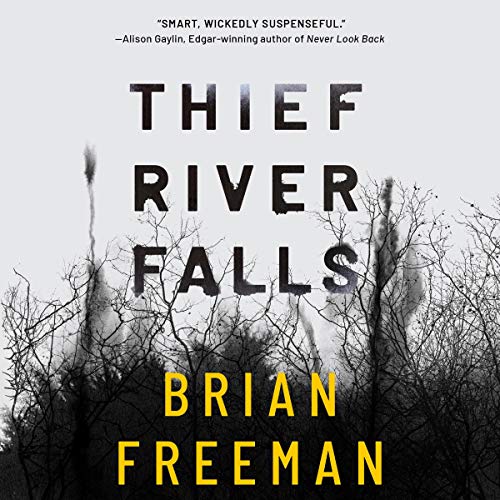 Thief River Falls Audiobook By Brian Freeman cover art