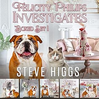 Felicity Philips Investigates: Box Set 1 Audiobook By Steve Higgs cover art