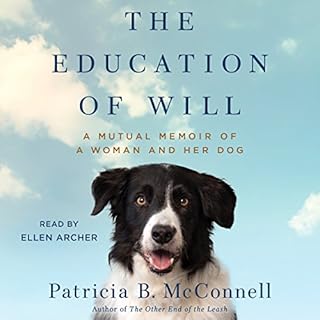 The Education of Will Audiobook By Patricia B. McConnell cover art