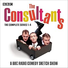 The Consultants: The Complete Series 1-4 cover art