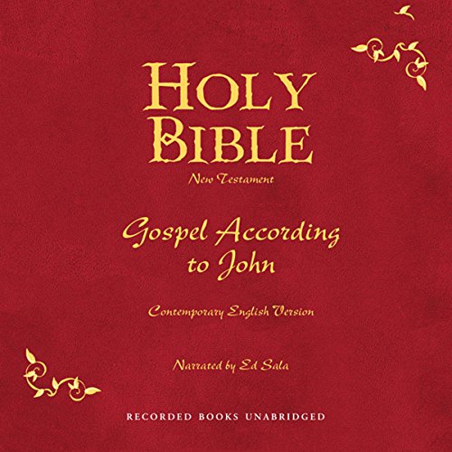 Holy Bible, Volume 25 cover art