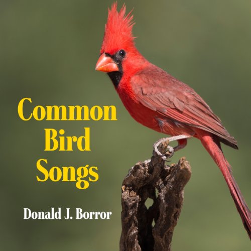 Common Bird Songs cover art