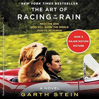 The Art of Racing in the Rain Audiolibro Por Garth Stein arte de portada