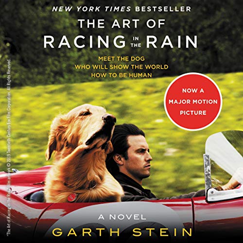 The Art of Racing in the Rain Titelbild