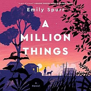 A Million Things Audiolibro Por Emily Spurr arte de portada