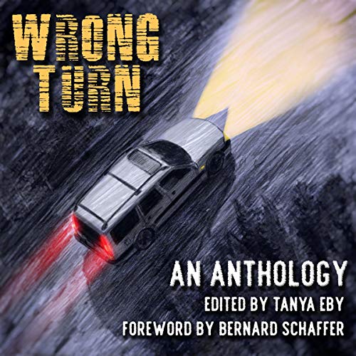 Wrong Turn Audiolibro Por Tanya Eby - editor, Bernard Schaffer - foreword arte de portada