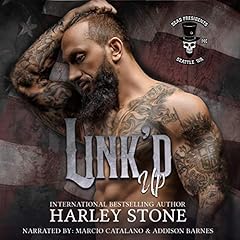 Link'd Up Audiolibro Por Harley Stone arte de portada