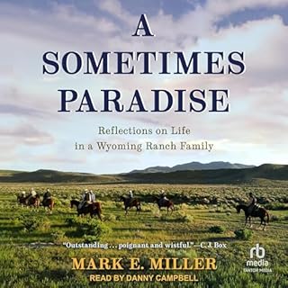 A Sometimes Paradise cover art