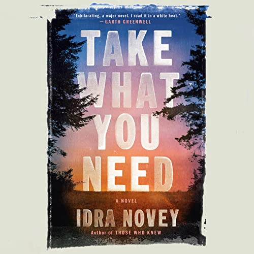 Take What You Need Audiobook By Idra Novey cover art