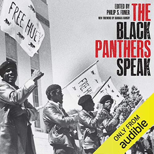 The Black Panthers Speak cover art