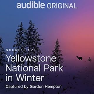 Yellowstone National Park in Winter Audiolibro Por Gordon Hempton arte de portada