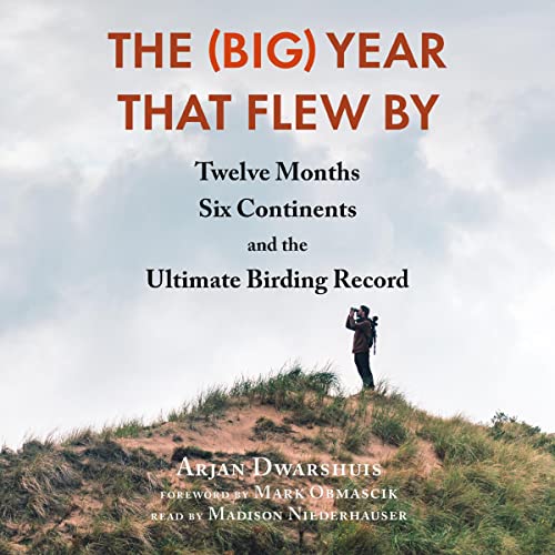 Diseño de la portada del título The (Big) Year That Flew By