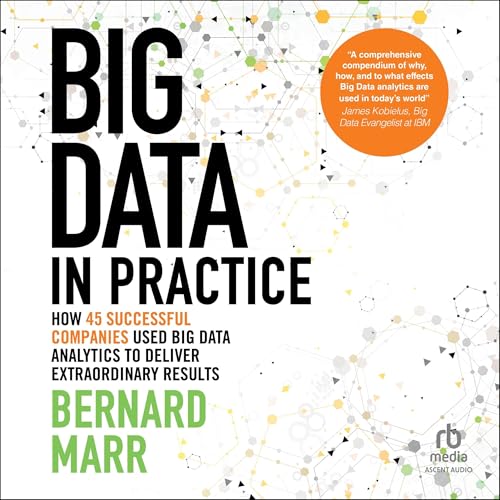 Big Data in Practice cover art