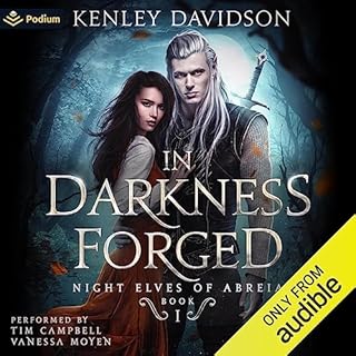 In Darkness Forged Audiolibro Por Kenley Davidson arte de portada