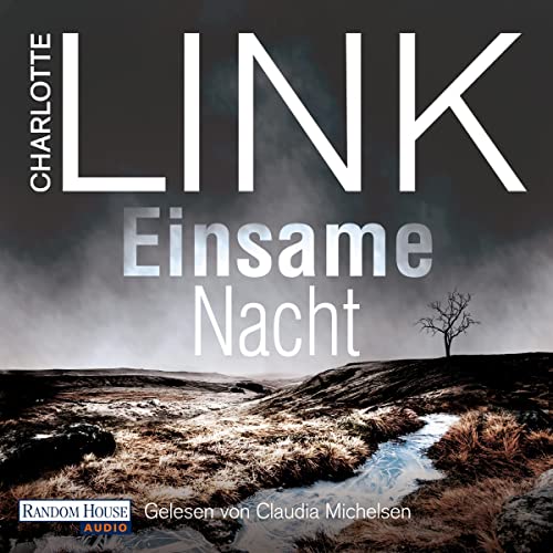 Couverture de Einsame Nacht