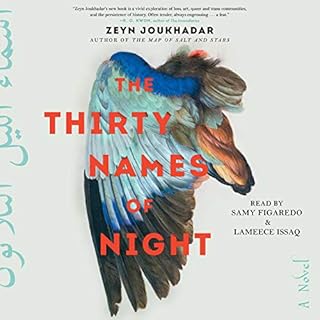 The Thirty Names of Night Audiolibro Por Zeyn Joukhadar arte de portada