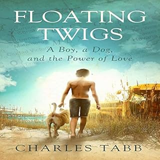 Floating Twigs Audiolibro Por Charles Tabb arte de portada