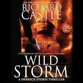 Wild Storm Audiolibro Por Richard Castle arte de portada