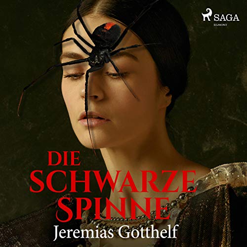 Die schwarze Spinne cover art