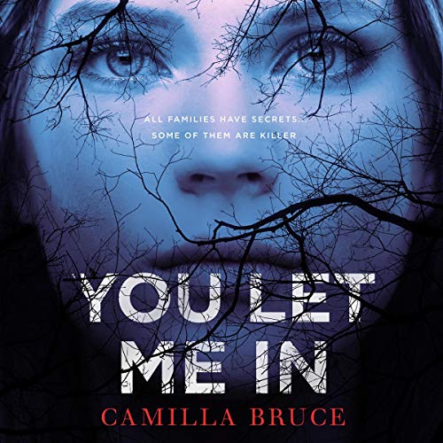 You Let Me In Audiolivro Por Camilla Bruce capa