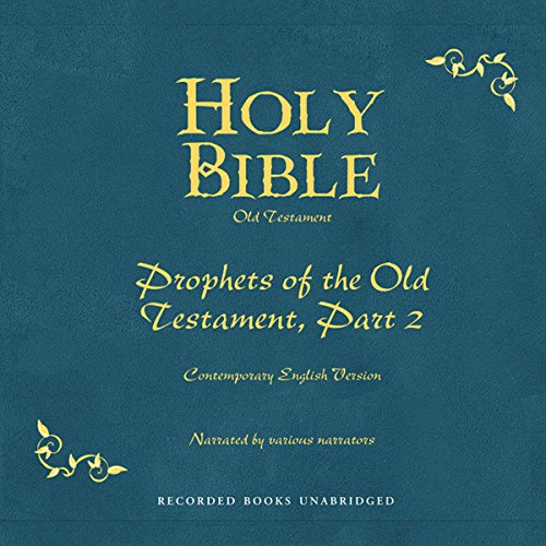 Holy Bible, Volume 15 cover art