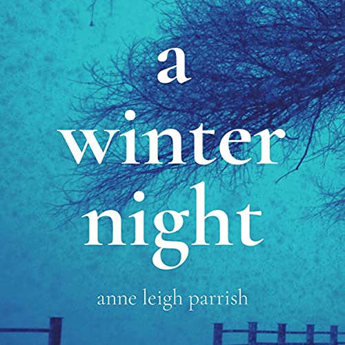 A Winter Night cover art