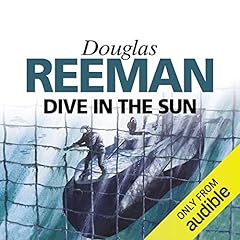 Dive in the Sun cover art