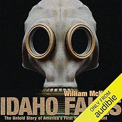 Idaho Falls cover art