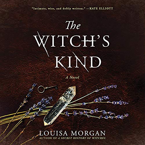 The Witch's Kind Audiolibro Por Louisa Morgan arte de portada