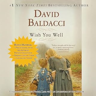 Wish You Well Audiolibro Por David Baldacci arte de portada