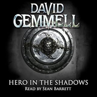 Hero in the Shadows cover art