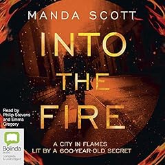 Into the Fire cover art