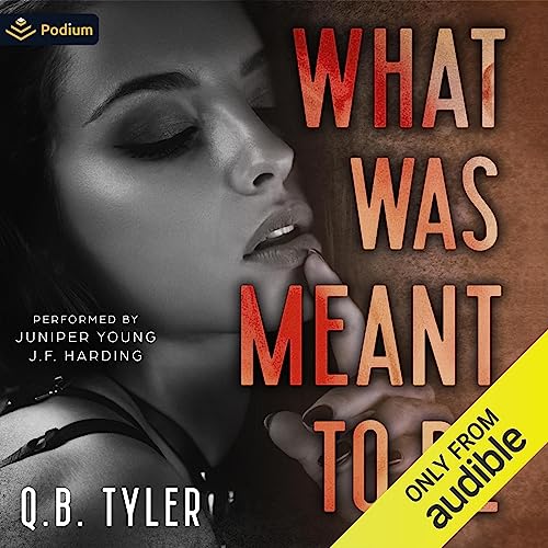 What Was Meant to Be Audiobook By Q.B. Tyler cover art