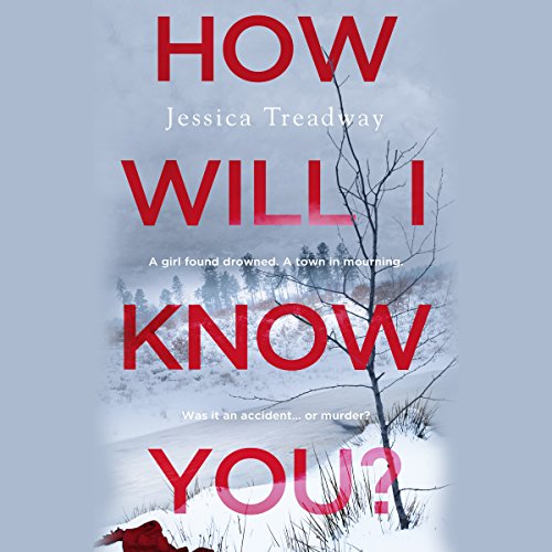 How Will I Know You? cover art