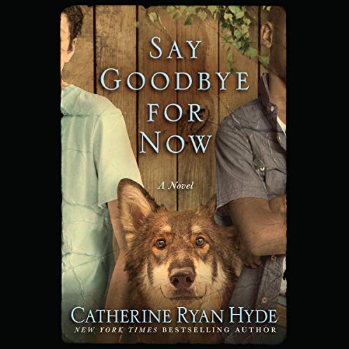 Say Goodbye for Now cover art