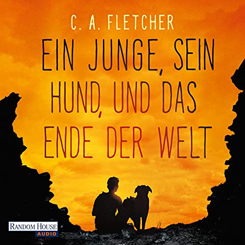 Ein Junge, sein Hund und das Ende der Welt cover art