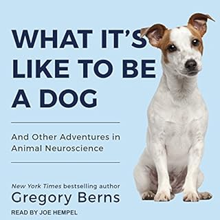 What It's Like to Be a Dog Audiolibro Por Gregory Berns arte de portada