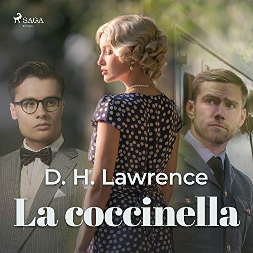 La coccinella copertina