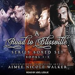 Road to Blissville Series Boxed Set cover art